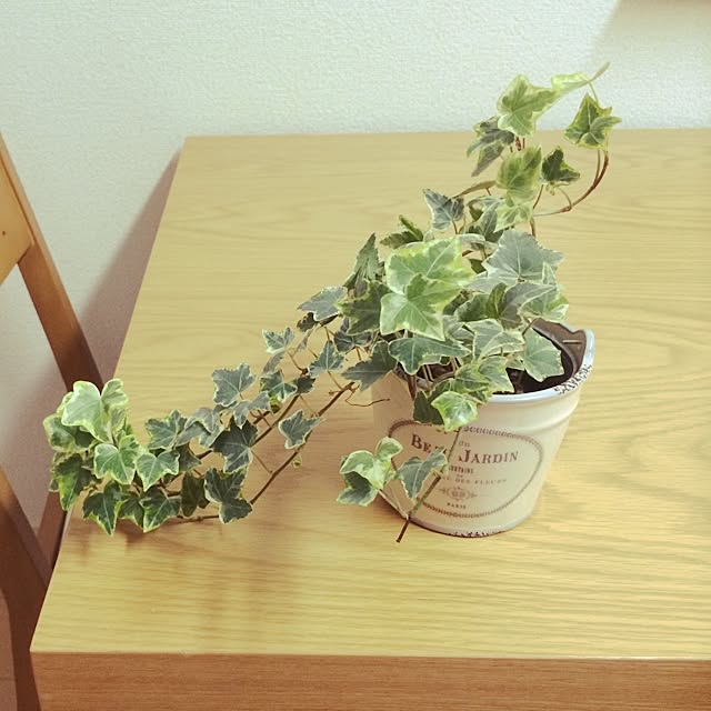 miwaさんの実例写真
