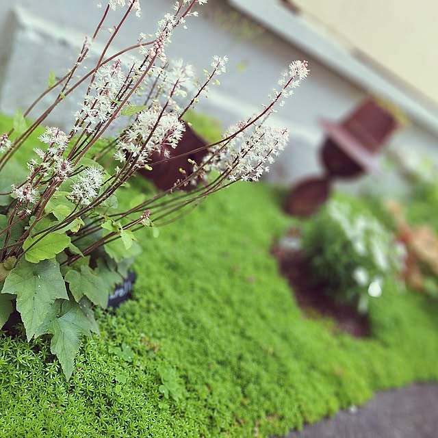 souさんの部屋