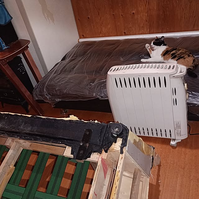 catloveさんの実例写真