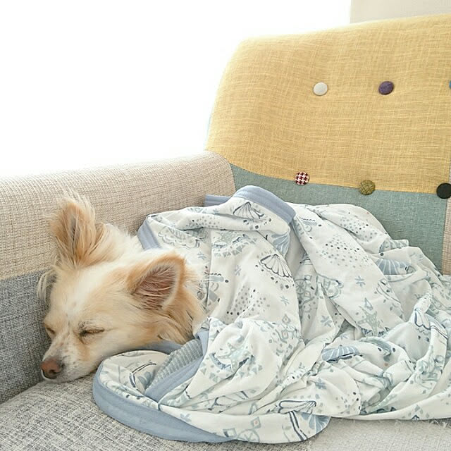 PAOさんの実例写真