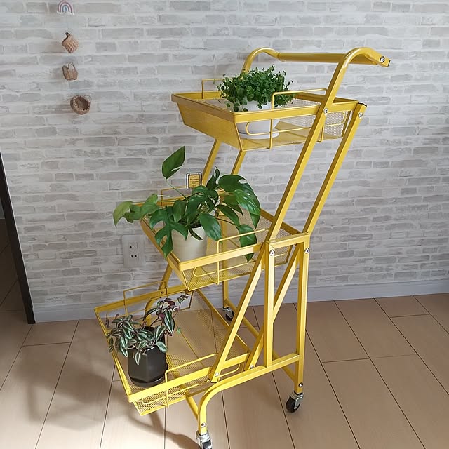 meiさんの実例写真