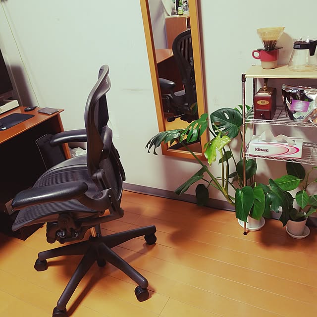 koheyの松村農園-観葉植物 モンステラ 6号陶器鉢-丸-白の家具・インテリア写真
