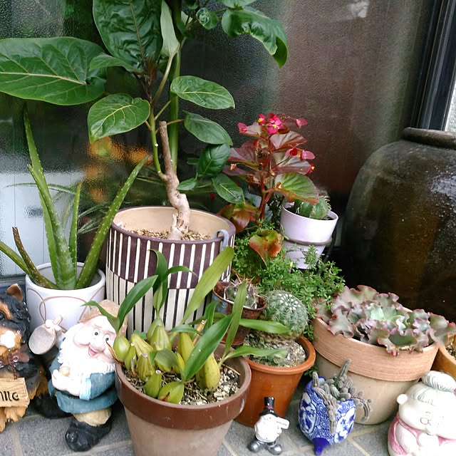 shoko0420さんの実例写真