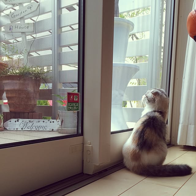 yokkochanさんの実例写真