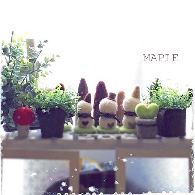 mapleさんの実例写真
