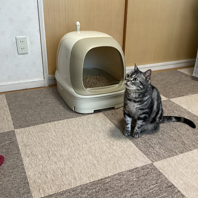 richanさんの実例写真