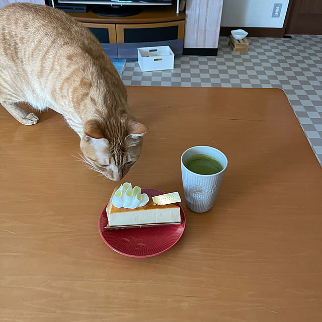 kikiさんの実例写真