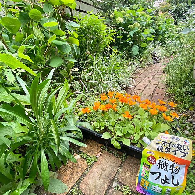 na-chanさんの部屋