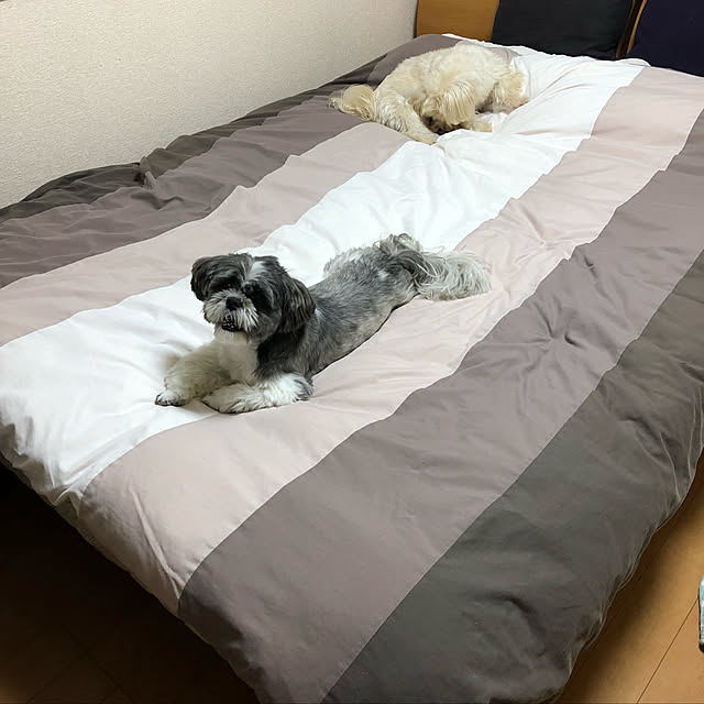 tenmaruさんの実例写真