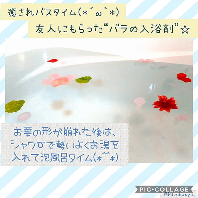 Mizubasyoさんの実例写真
