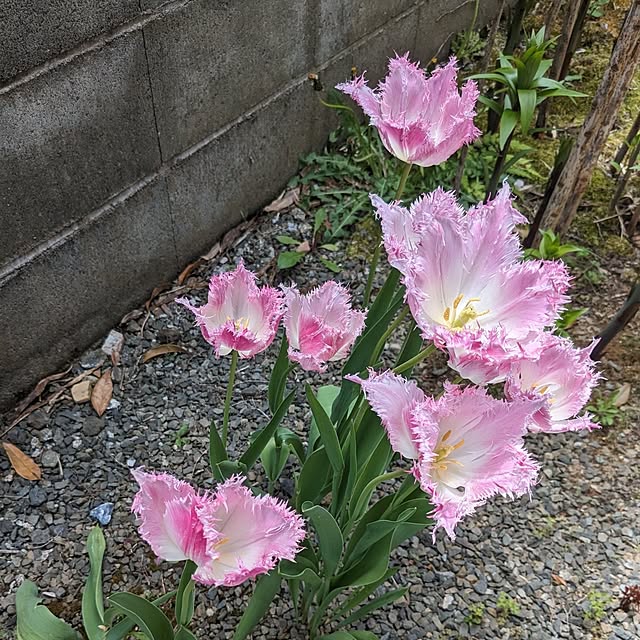 hiroさんの部屋