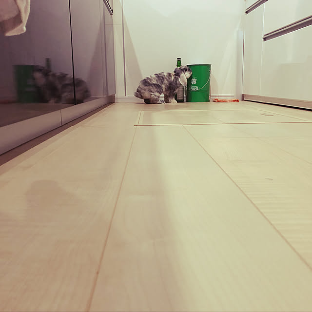 suzu.さんの実例写真