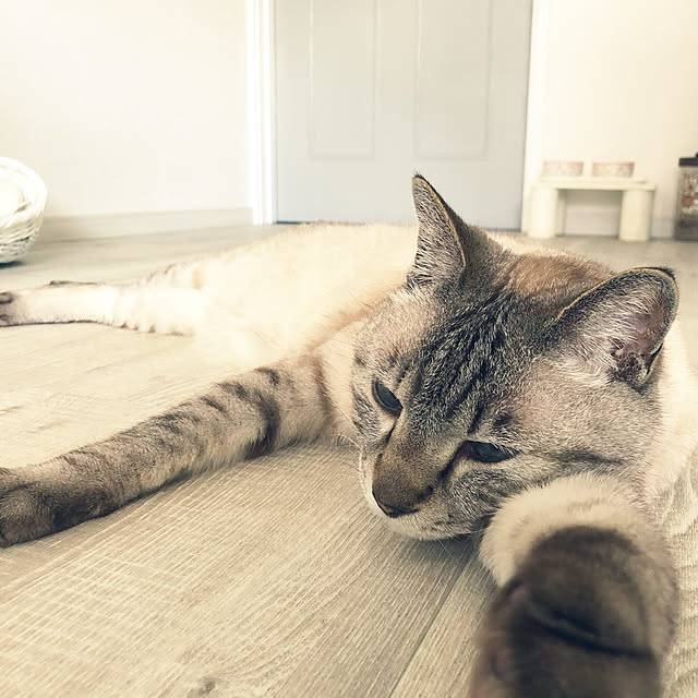mieさんの実例写真
