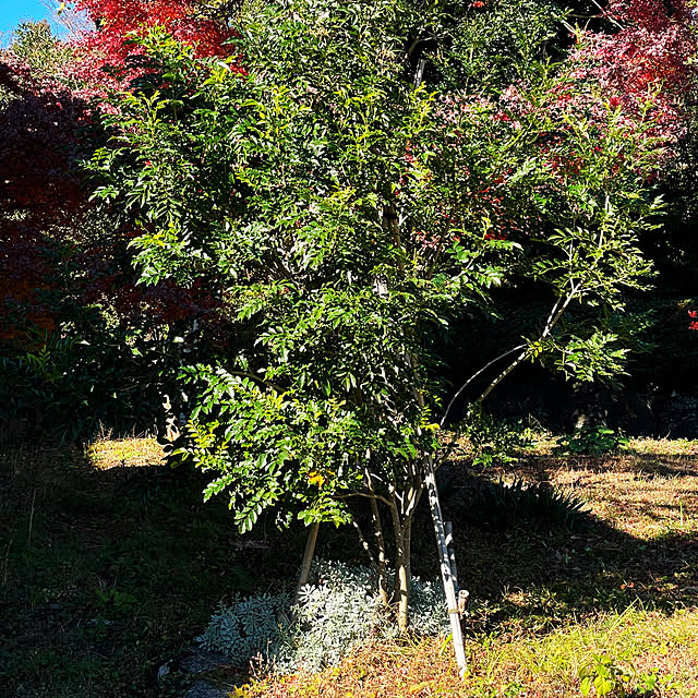 kabu10さんの部屋