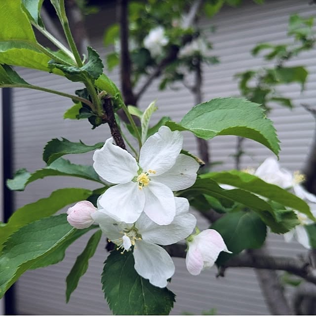 ku-garnet18さんの部屋