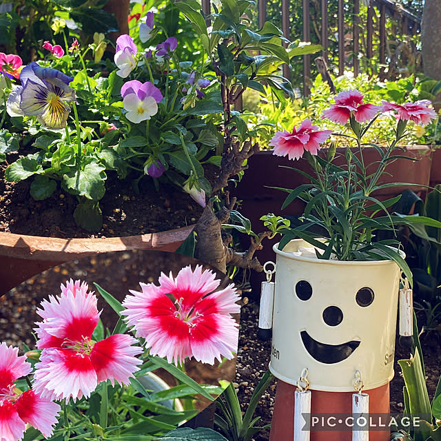 Smilkazuさんの実例写真