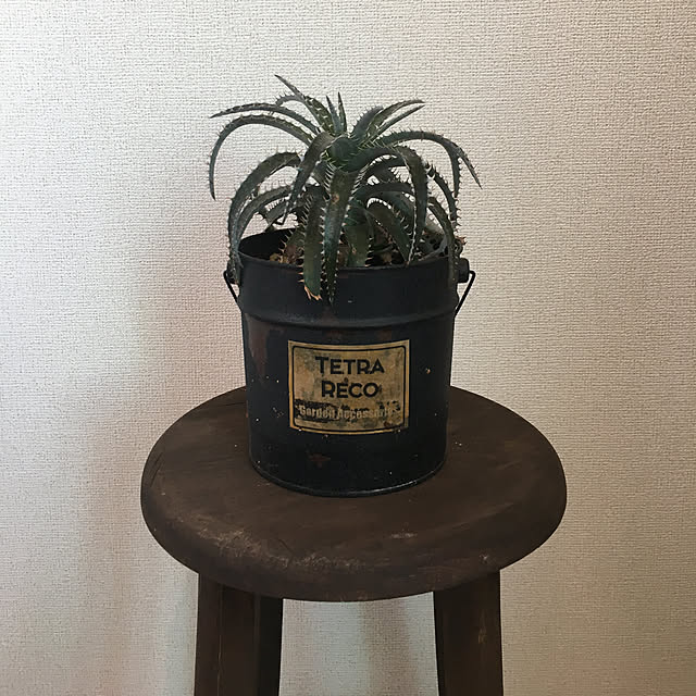 tetra163さんの実例写真
