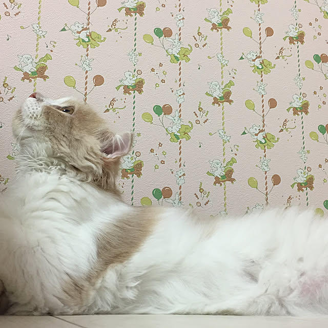 70さんの実例写真