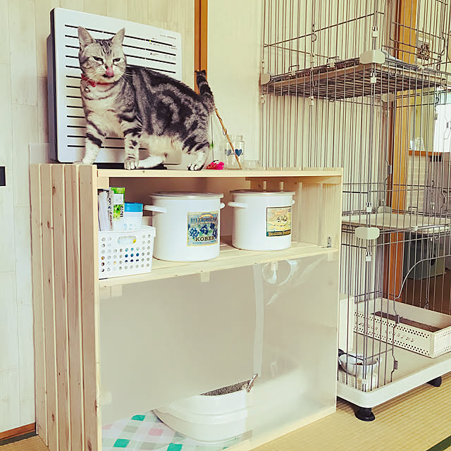 miruさんの実例写真