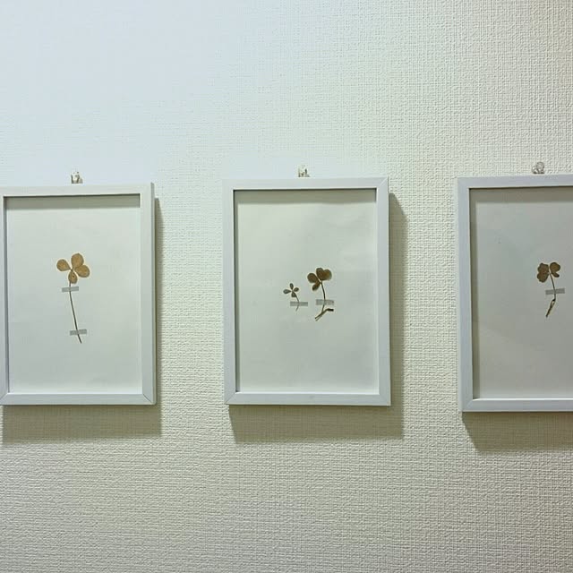 eikoさんの実例写真