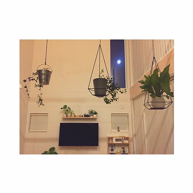 mocoさんの実例写真