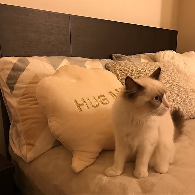 Ninaさんの実例写真
