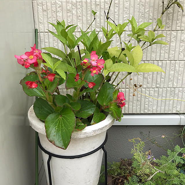 EMIKOさんの実例写真