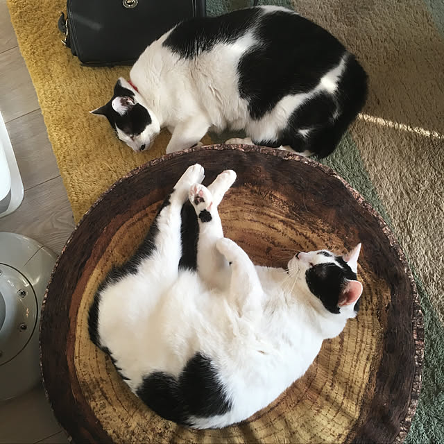 hanaさんの実例写真