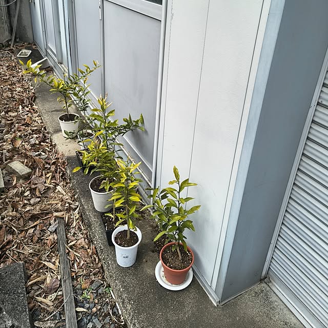 Rubiconさんの部屋