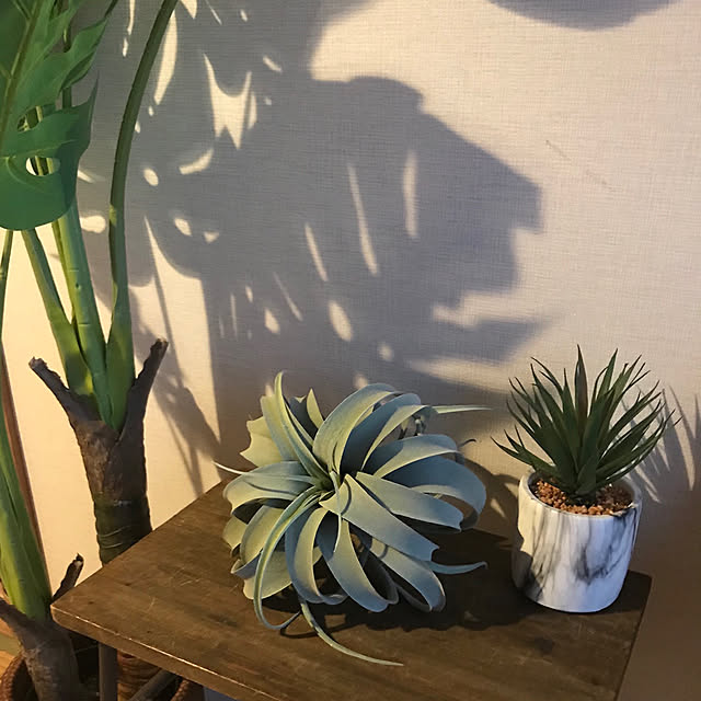 rookuさんの実例写真