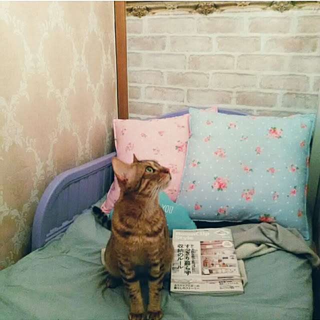 Rabbitさんの実例写真