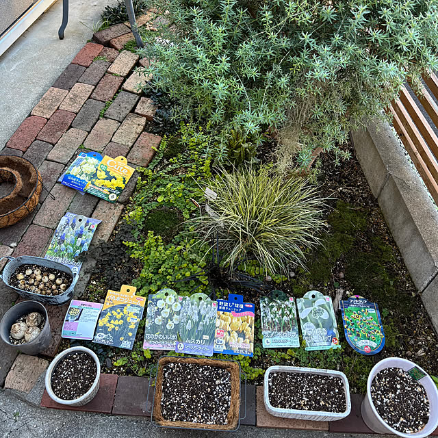 kyoko1124koさんの実例写真