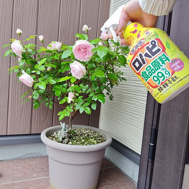 mutsuさんの部屋