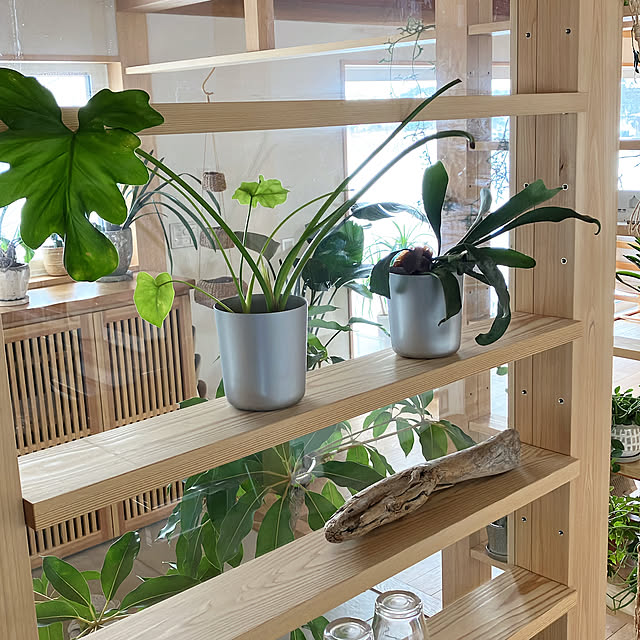 hira_muji_mihiさんの実例写真