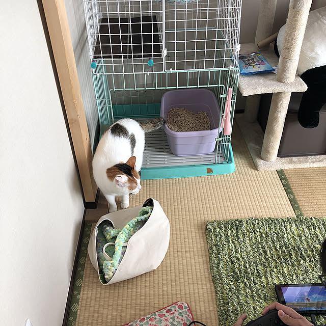 Chiiさんの実例写真