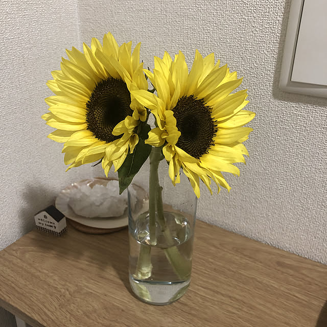 fumiさんの実例写真