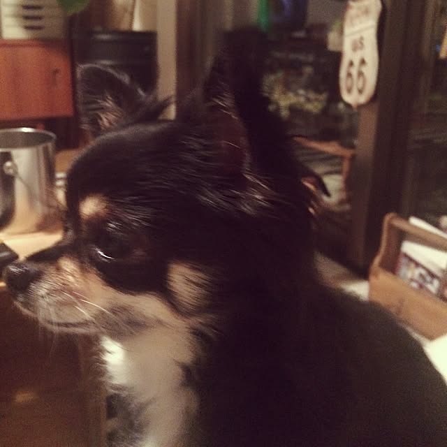 riechocoさんの実例写真