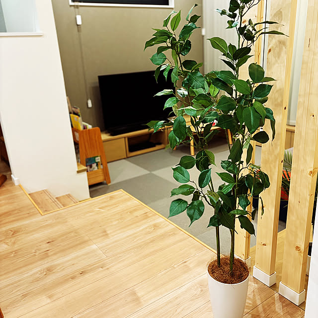 kngolfさんの部屋