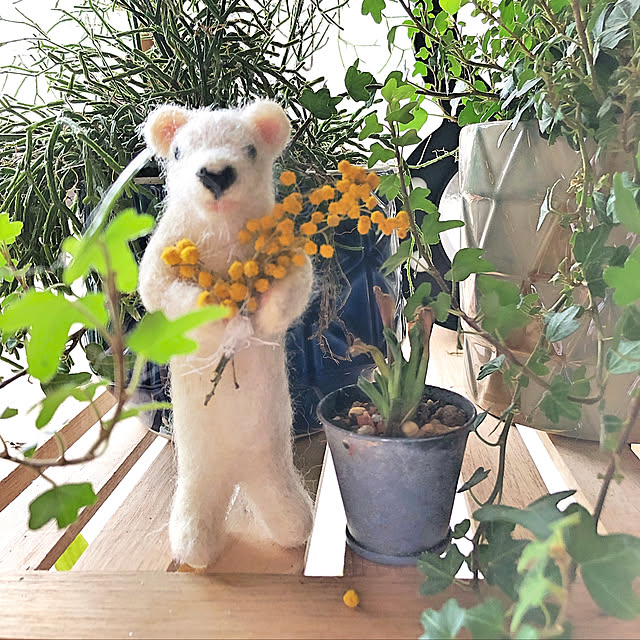 paruさんの実例写真