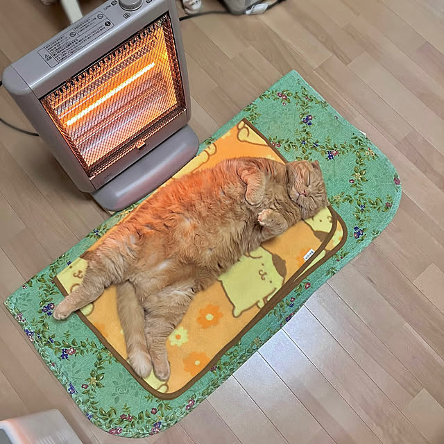 pinaminさんの実例写真
