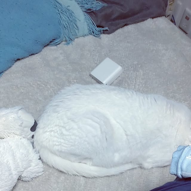 lelielさんの部屋