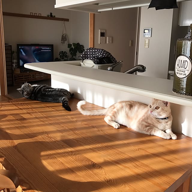 hiyupan88さんの実例写真