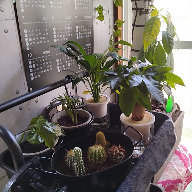 runaさんの部屋