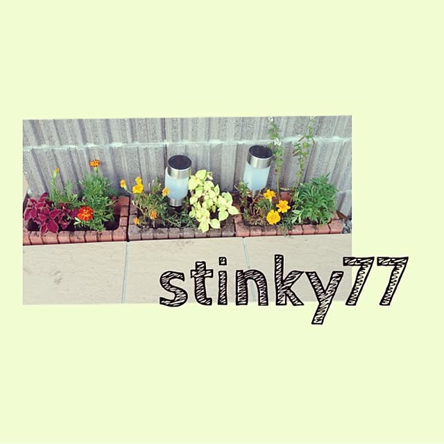 stinky77さんの実例写真