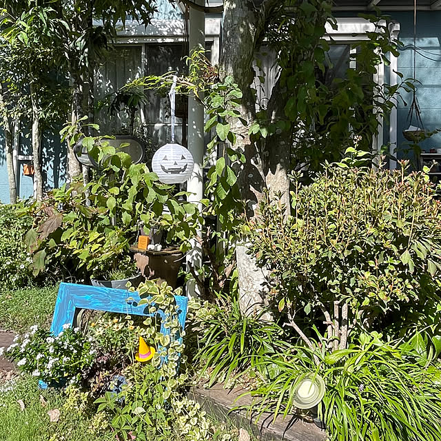 nobikoさんの部屋