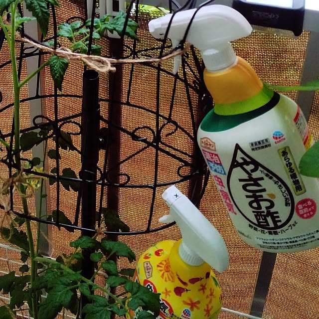 runaさんの部屋