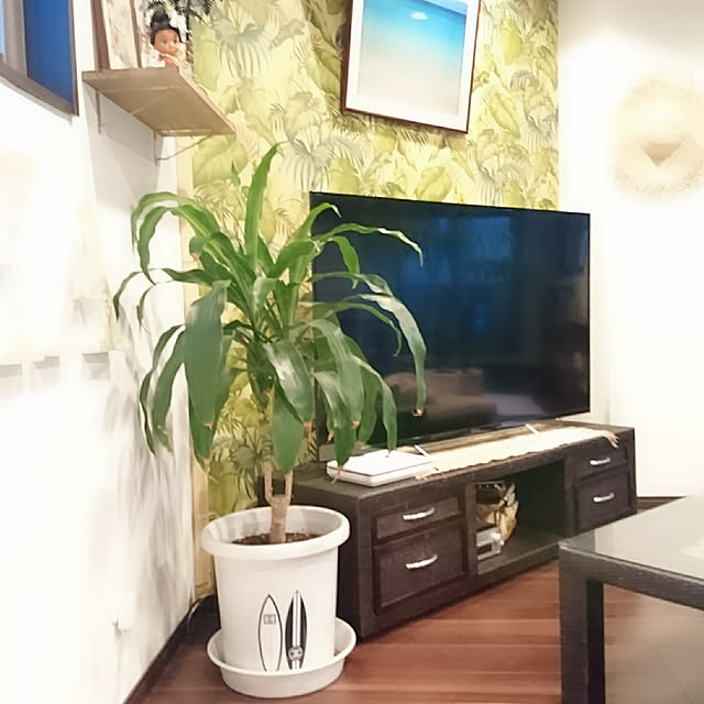 cocosorasakuさんの実例写真