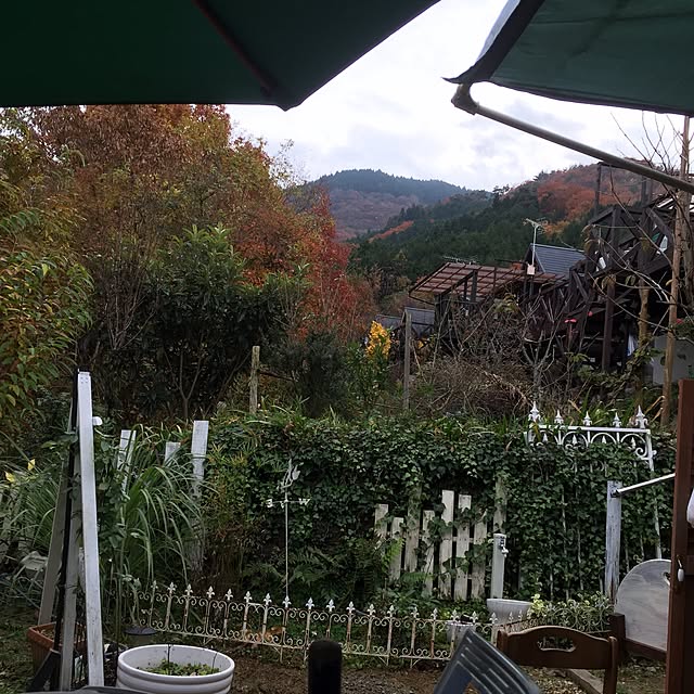 Naomiさんの実例写真