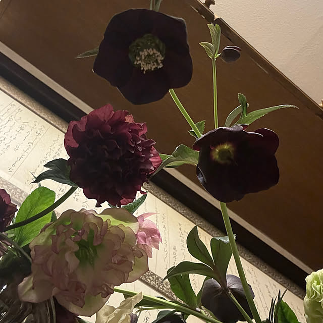 mamizaさんの部屋