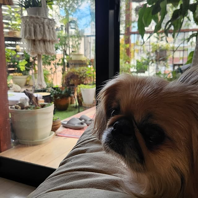 mikamaiさんの実例写真